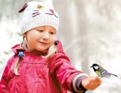 Wintervogelfutter 1.99 €