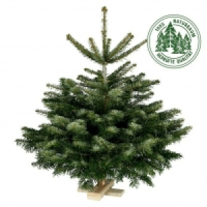 Piardino Nordmanntanne auf Holzkreuz 29.95 €