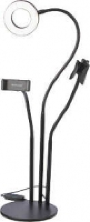 INTEMPO 14.99 €