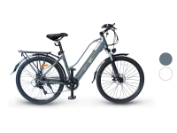 Lidl Electric Moving Green Electric Moving Green E-Bike City Queen, 28 Zoll