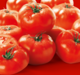 Fleischtomaten Flandria
