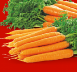 Bundmöhren 0.99 €