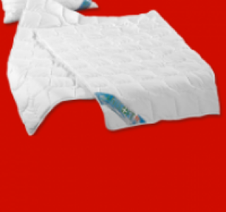 Bettwaren Leichtsteppbett 12.99&nbsp;&euro;