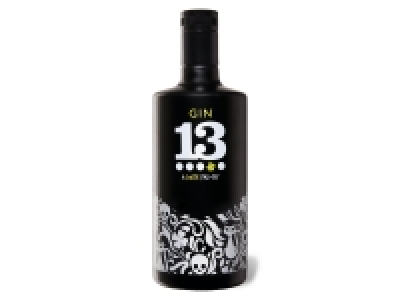 Gin 13 40% Vol 18.99 €