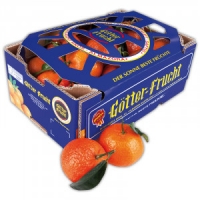 Norma Götter Frucht Premium Clementinen mit Blatt