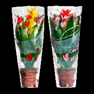 GARDENLINE Guzmanie / Vriesea 4.99 €