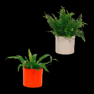 GARDENLINE Grüne Wohn-Oase 4.99 €