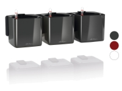 Lechuza Pflanzentöpfe »Green Wall Home Kit«, L 48 x B 15 x H 15 cm 66.66 €