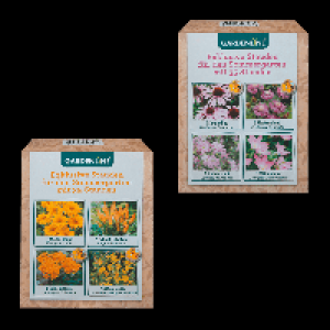 GARDENLINE Stauden für den Sommergarten 6.49 €
