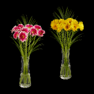 GARDENLINE Germini 1.99 €