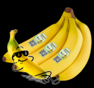 NATURGUT Bio-Bananen 1.99&nbsp;&euro;