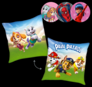 LIZENZ Kinder-Deko-Kissen 5.99 €