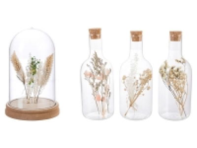 Pureday Deko-Objekt Flaschen-Set / Glasglocke, mit Trockenblumen