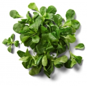 Kaufland  Franz./ital. Feldsalat