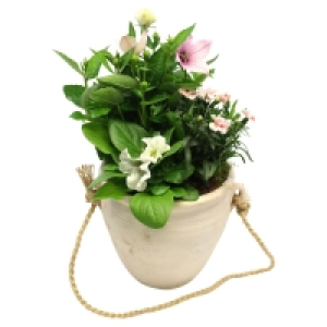 GARDENLINE Muttertagsarrangement 9.99 €