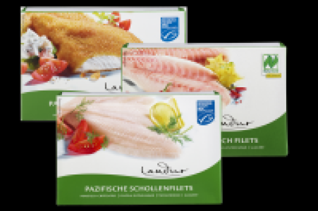 Denns Landur Fischfilets