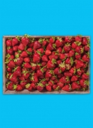 Pre­mi­um Erd­bee­ren 1.19 €