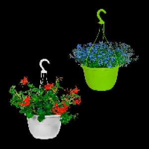 GARDENLINE Ampelpflanze 4.99 €