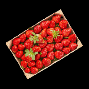 Aldi Nord  Premium-Erdbeeren