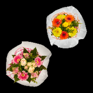 Aldi Nord Gardenline GARDENLINE Muttertags-Dekostrauß