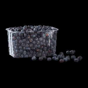 Kulturheidelbeeren 3.99 €