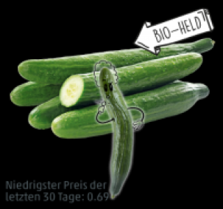NATURGUT Bio-Gurke 0.55 €