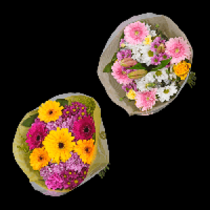 Aldi Nord Gardenline GARDENLINE Pfingststrauß