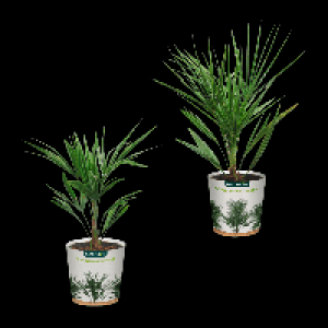 GARDENLINE Palme 5.99 €