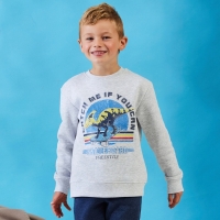 NKD  Jungen-Sweatshirt mit Dino-Aufdruck