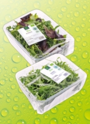 Bio-Sa­lat 2.99 €