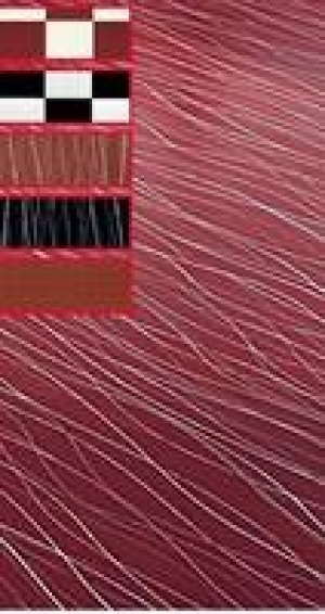 CV-Belag Focus Color