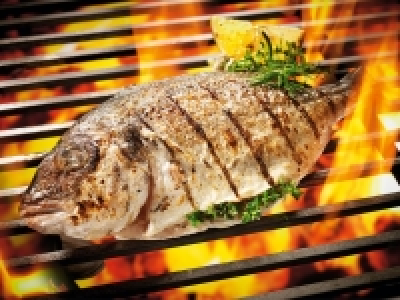 GRILLMEISTER Grill-Dorade Provençale 12.99 €