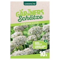 Aldi Süd  GARDENLINE Allium-Zierlauch-Mischung