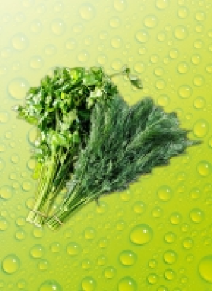 Kü­chen­kräu­ter 1.59 €