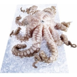 Pulpo/ Krake 10.99&nbsp;&euro;