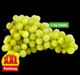 Helle Tafeltrauben 1.99 €