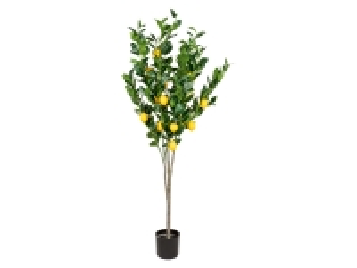 LIVARNO home Kunstpflanze Zitronenbaum, 1,6 m