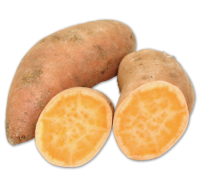 Penny  Süßkartoffeln