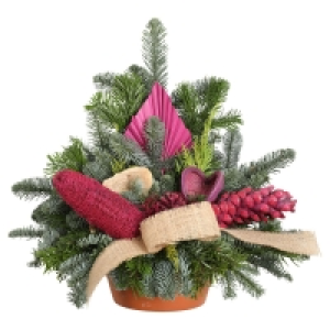 GARDENLINE Grabschale, klein 7.99 €