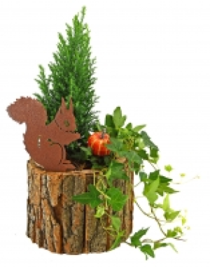 Herbstpflanzen-Mix 7.99 €