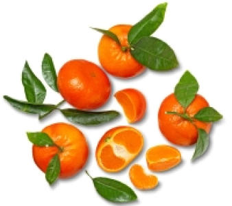 Span. Clementinen mit Blatt 1.99 €