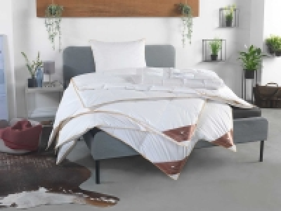HÄUSSLING Royal Daunen-Kassettenbettdecke warm 83.76 €