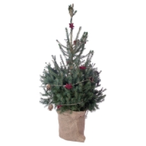 Aldi Süd  GARDENLINE Dekorierter Weihnachtsbaum