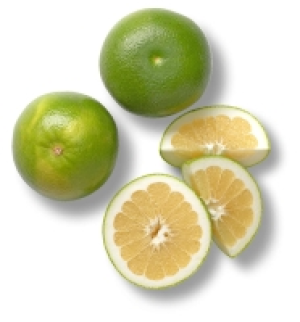 Kaufland  Israel. Grapefruit »Sweetie«, lose