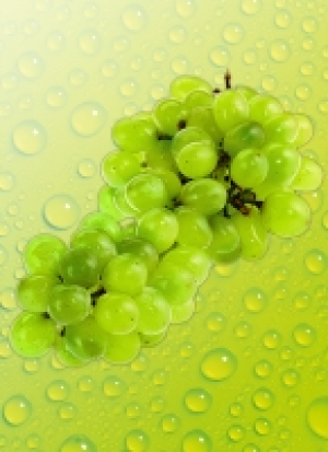 Norma River Valley Fresh Ta­fel­t­rau­ben Hell