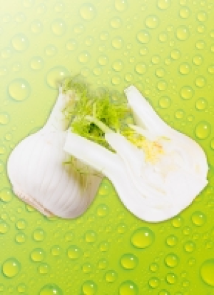 Bio-Fen­chel 1.99 €