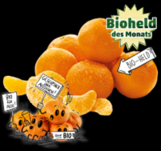 NATURGUT Bio-Clementinen 1.69 €