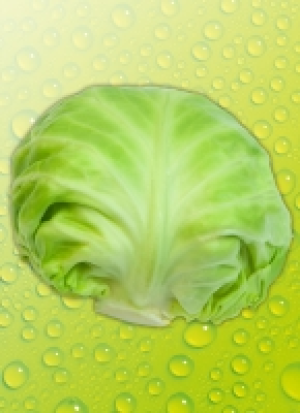 Norma Ernteschatz Flach­kohl / Ur­kohl
