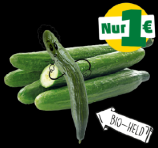 NATURGUT Bio-Gurke 1.00 €