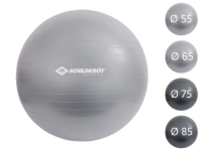 Schildkröt Fitness Gymnastikball für Körpergrößen von 160-185 cm
